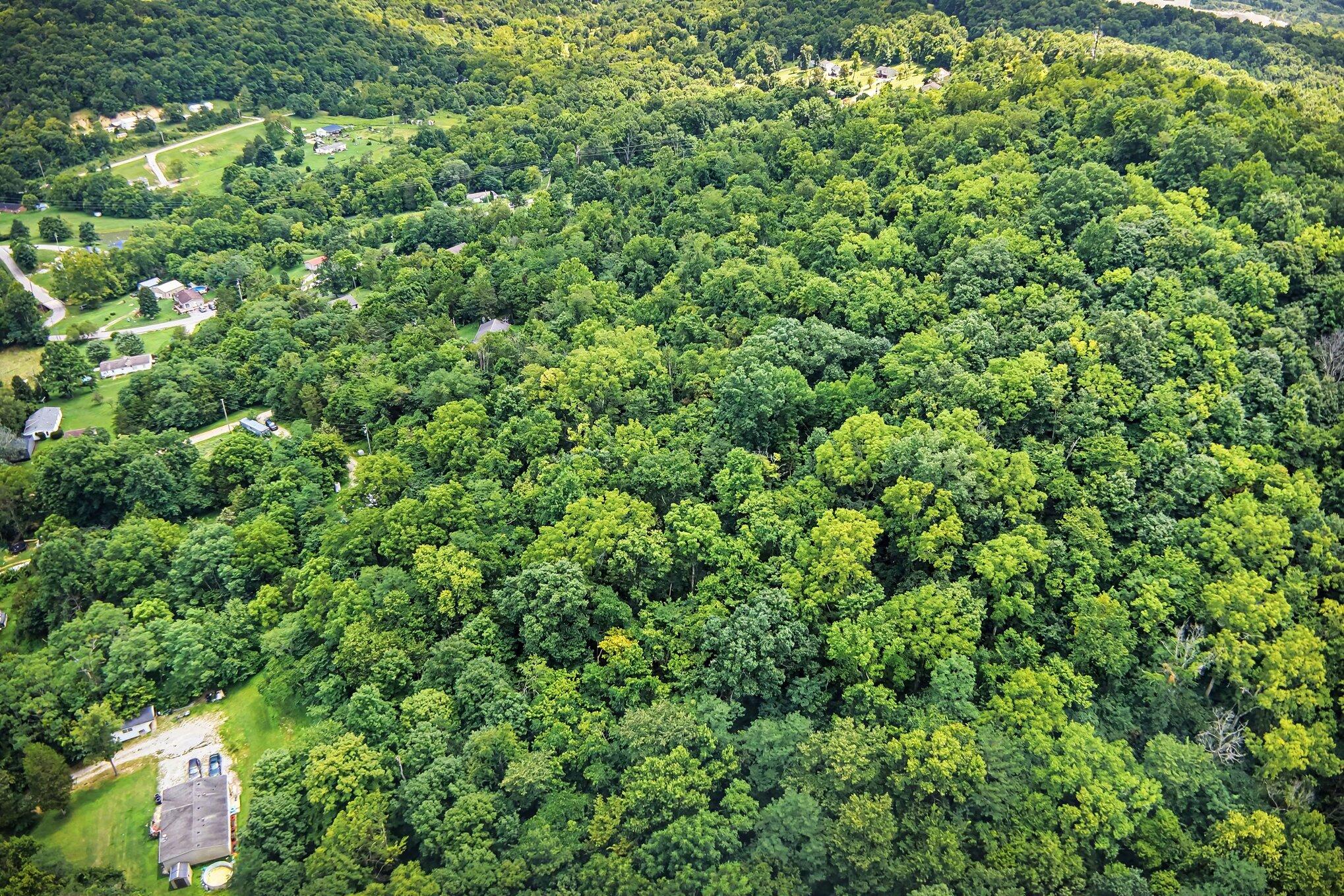 257 S Fork Road