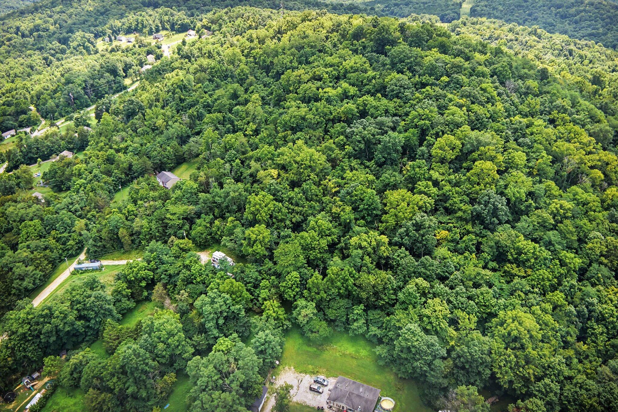 257 S Fork Road