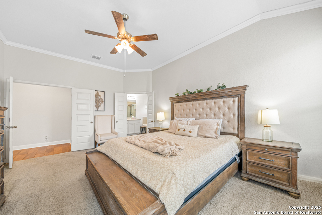 9579 Bicknell Sedge