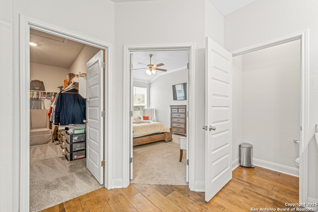 9579 Bicknell Sedge
