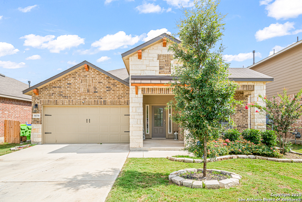 9579 Bicknell Sedge