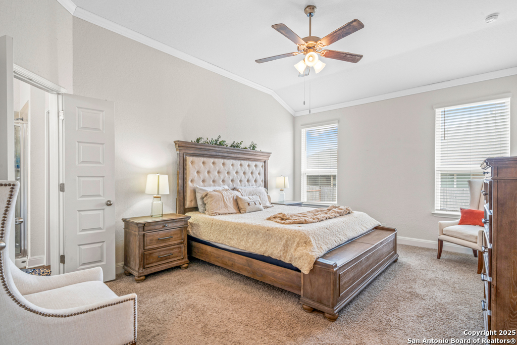9579 Bicknell Sedge