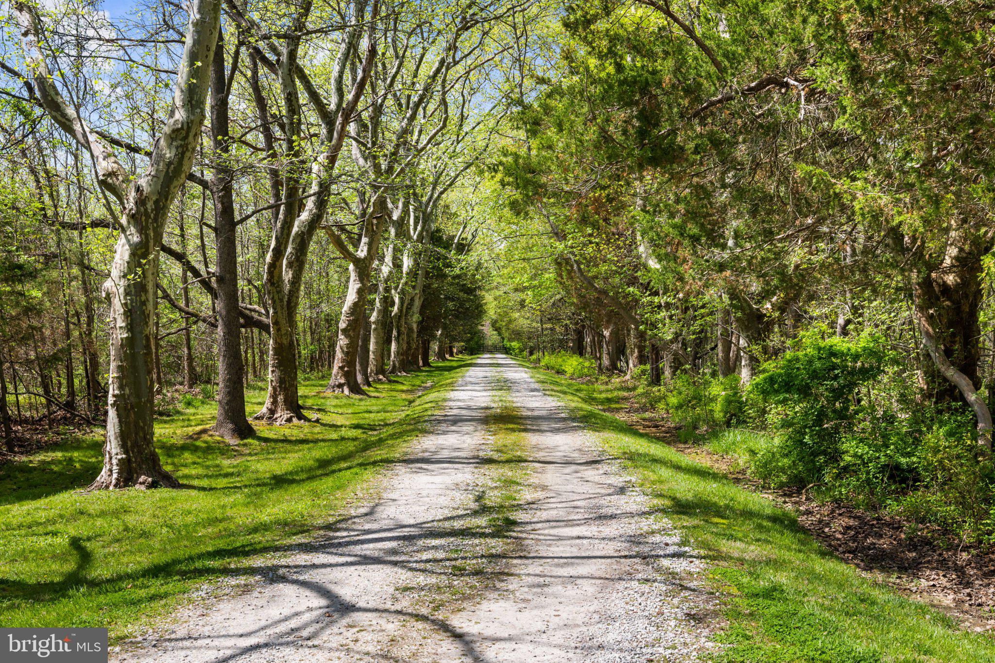 1741 HOLLY BEACH FARM ROAD