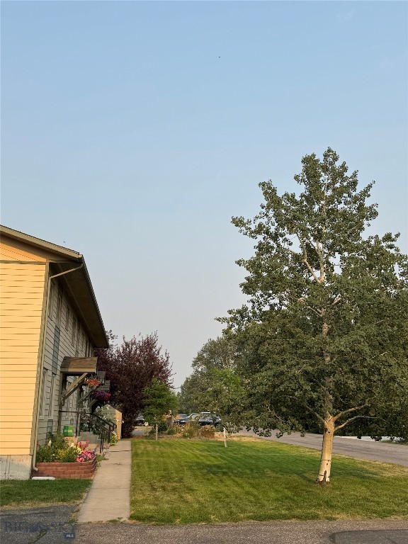 17 Chestnut Grove 17