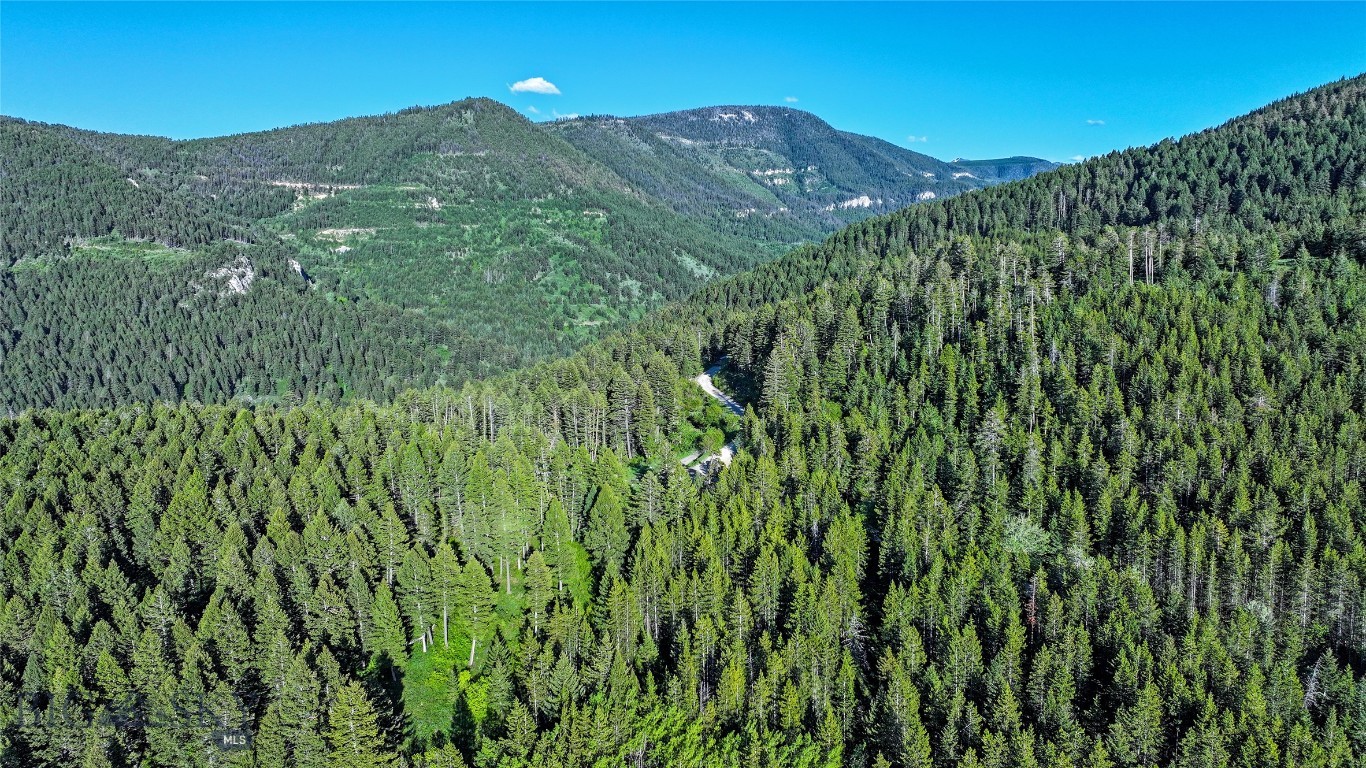 2081 Little Bear Road