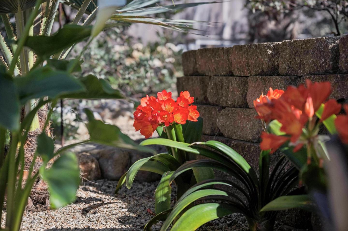 217 Edinburgh Avenue