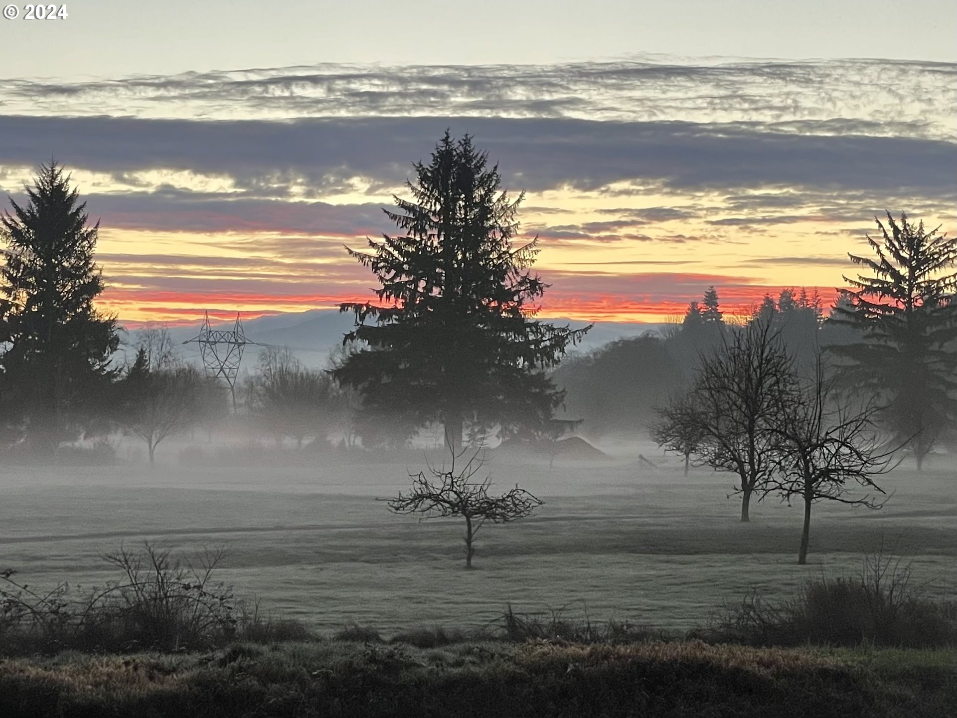 35585 BELLA RIDGE LOOP