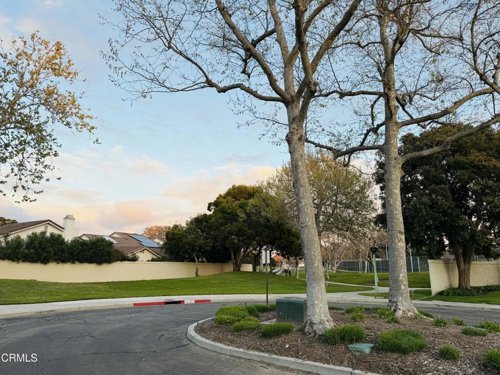 433 Santa Cruz Circle