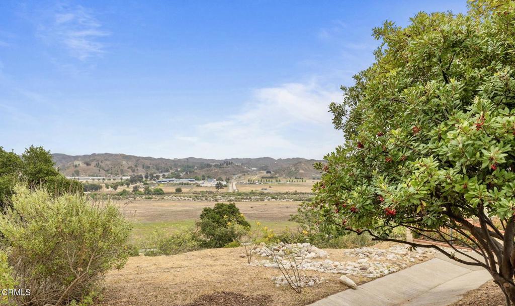 30044 Desert Rose Drive