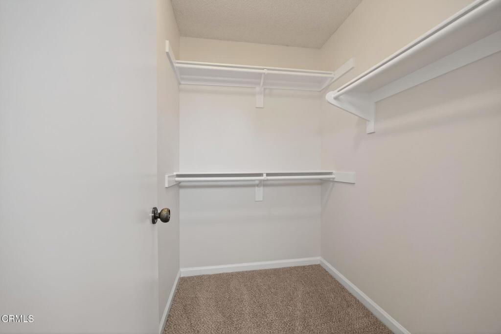 10041 Norwalk Street