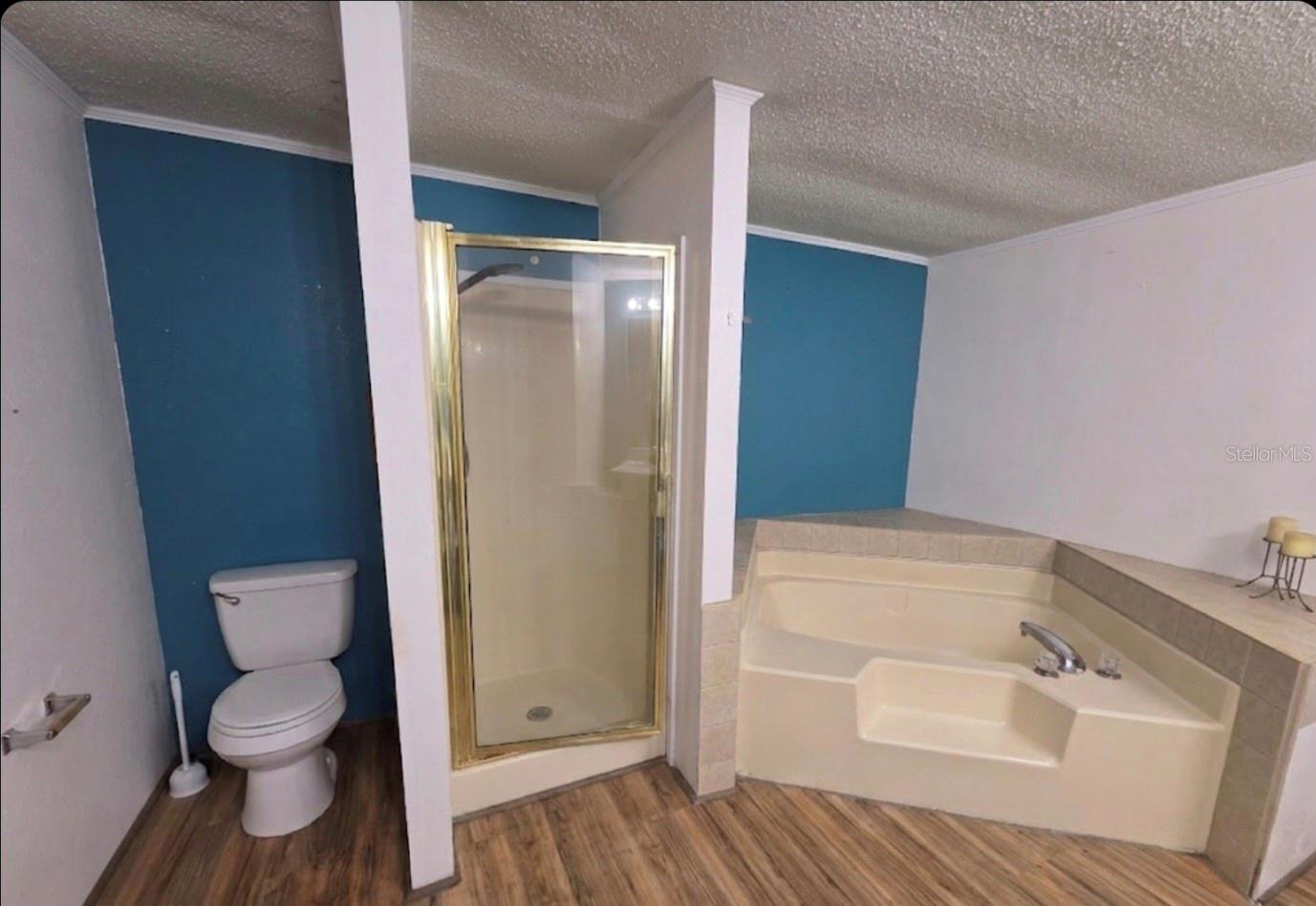 4738 SW 166TH COURT RD