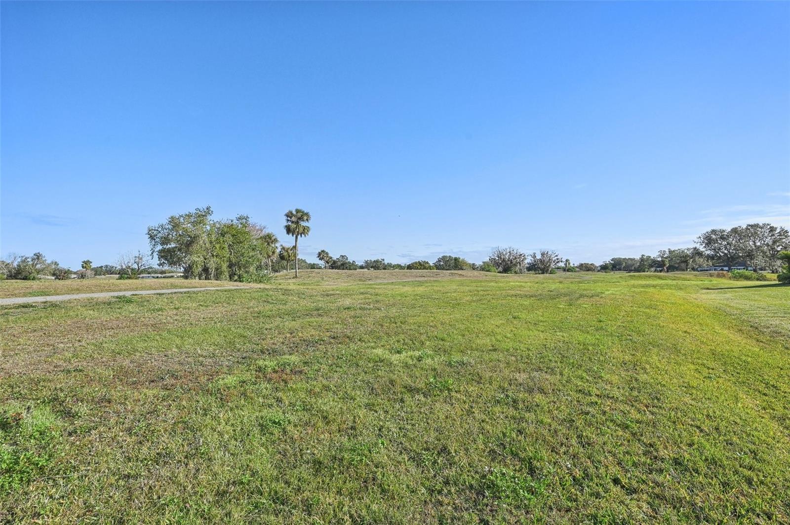 2315 NEW ORCHARD CT