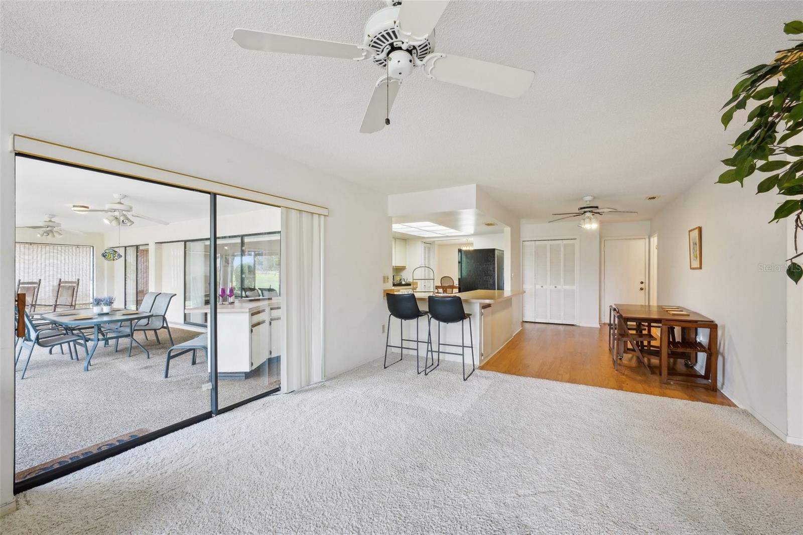 1972 WOLF LAUREL DR
