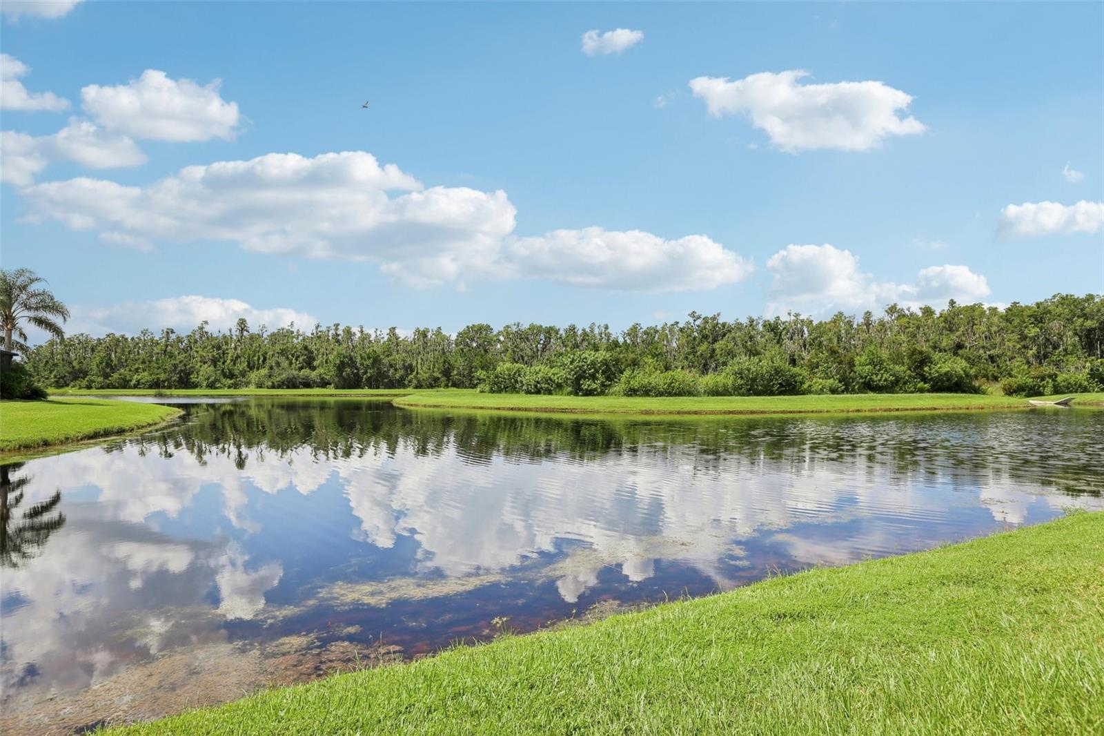 15820 AURORA LAKE CIR