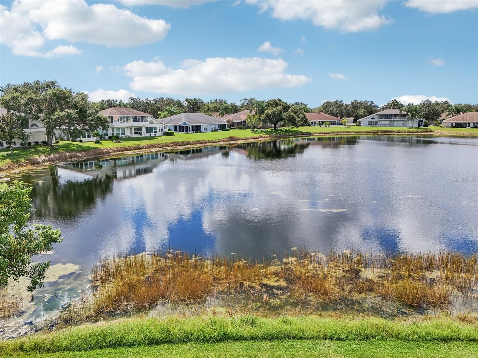 2218 OLIVE BRANCH DR