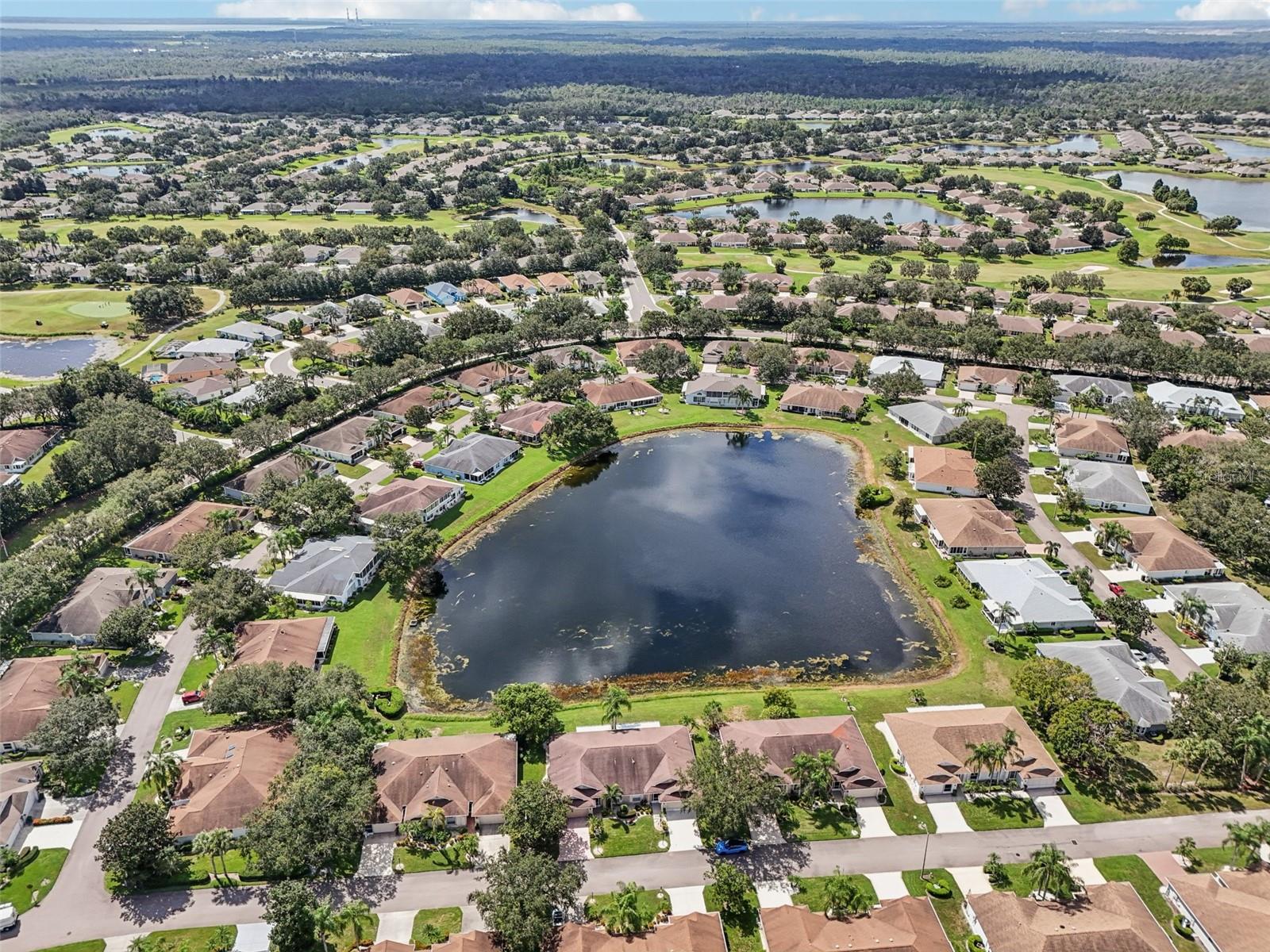 2218 OLIVE BRANCH DR