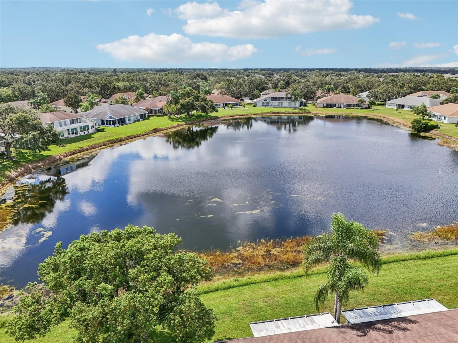 2218 OLIVE BRANCH DR