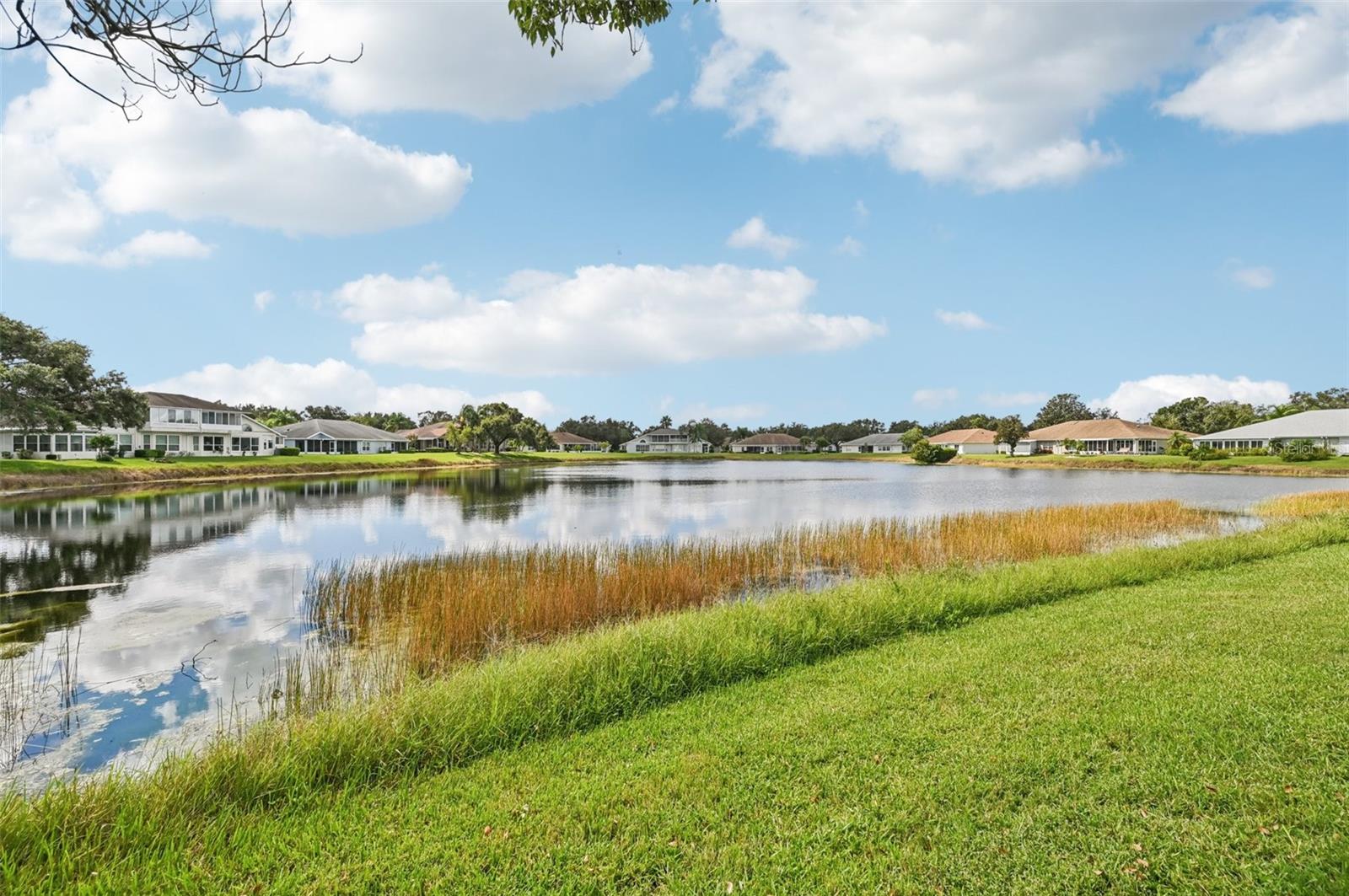 2218 OLIVE BRANCH DR