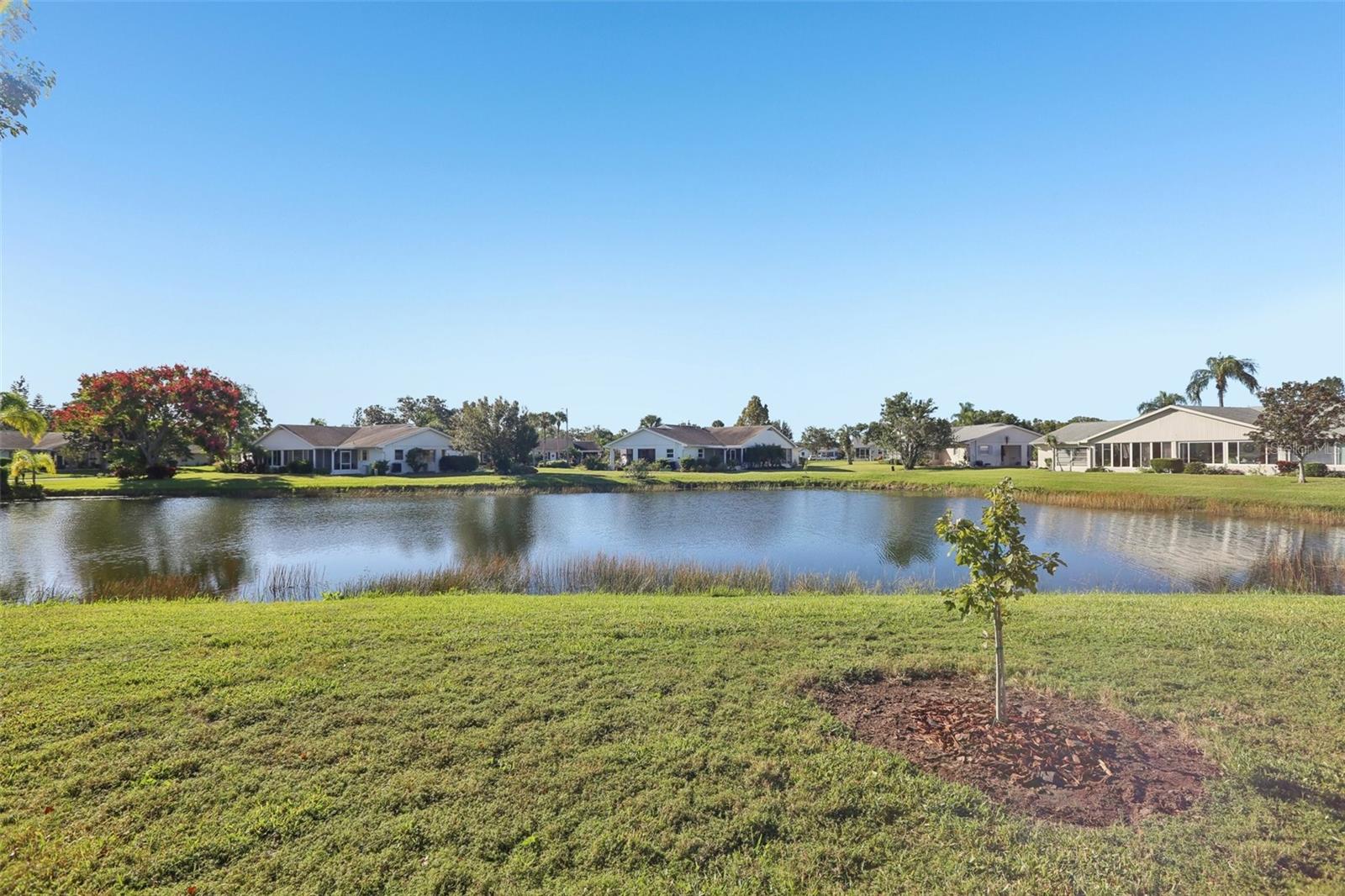 2339 GLENMORE CIR