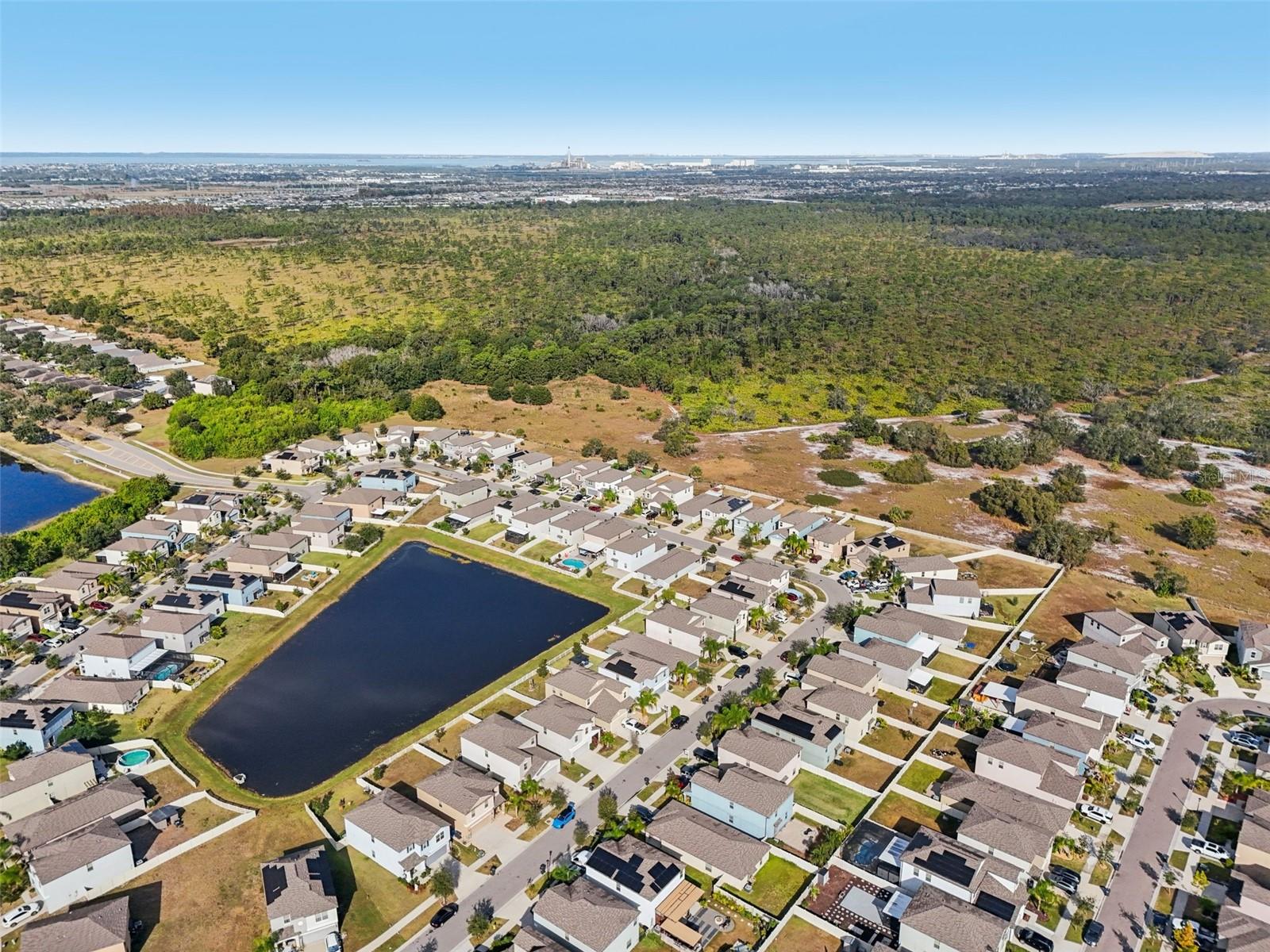 15461 BROAD BRUSH DR