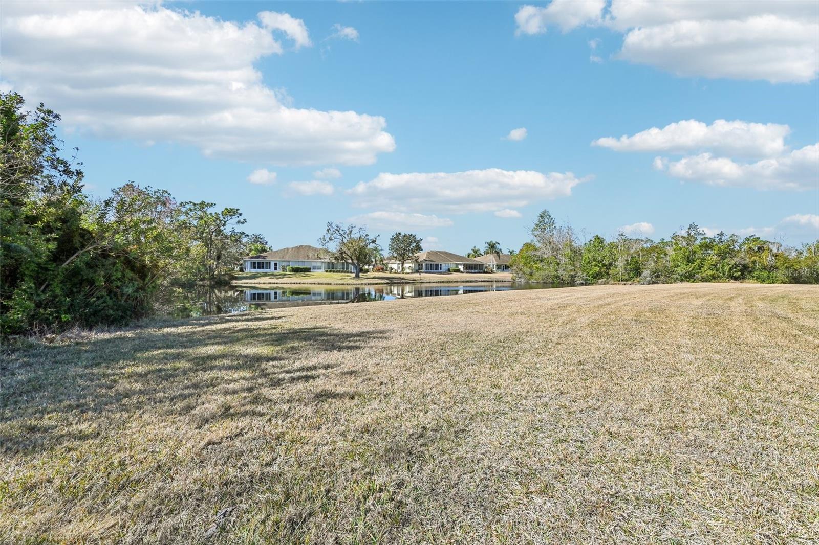 807 TREMONT GREENS LN