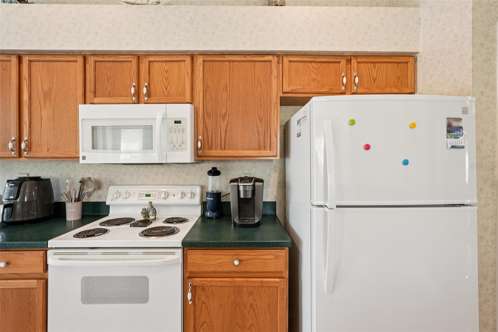 1351 MISTY GREENS DR