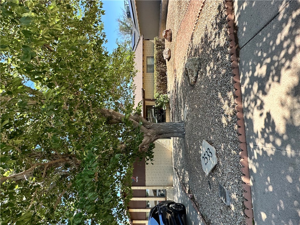 2533 Mullen Drive