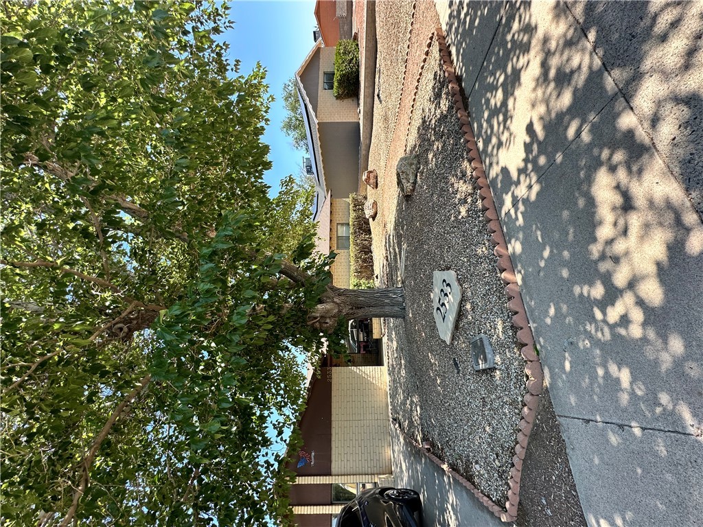 2533 Mullen Drive