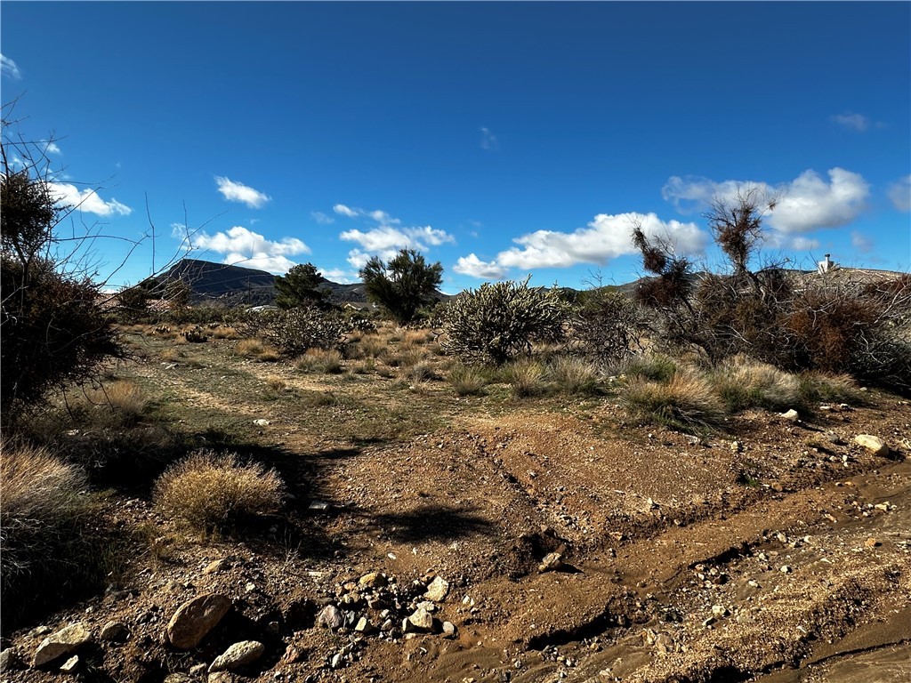 2190 E Greasewood Drive