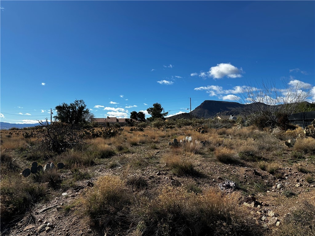 2190 E Greasewood Drive