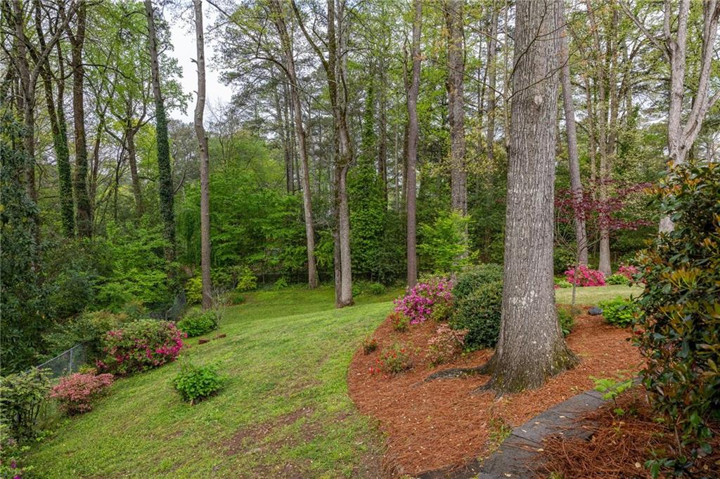 Landscaped backyard with mature trees, a sloping lawn, flowering shrubs, and a stone path.