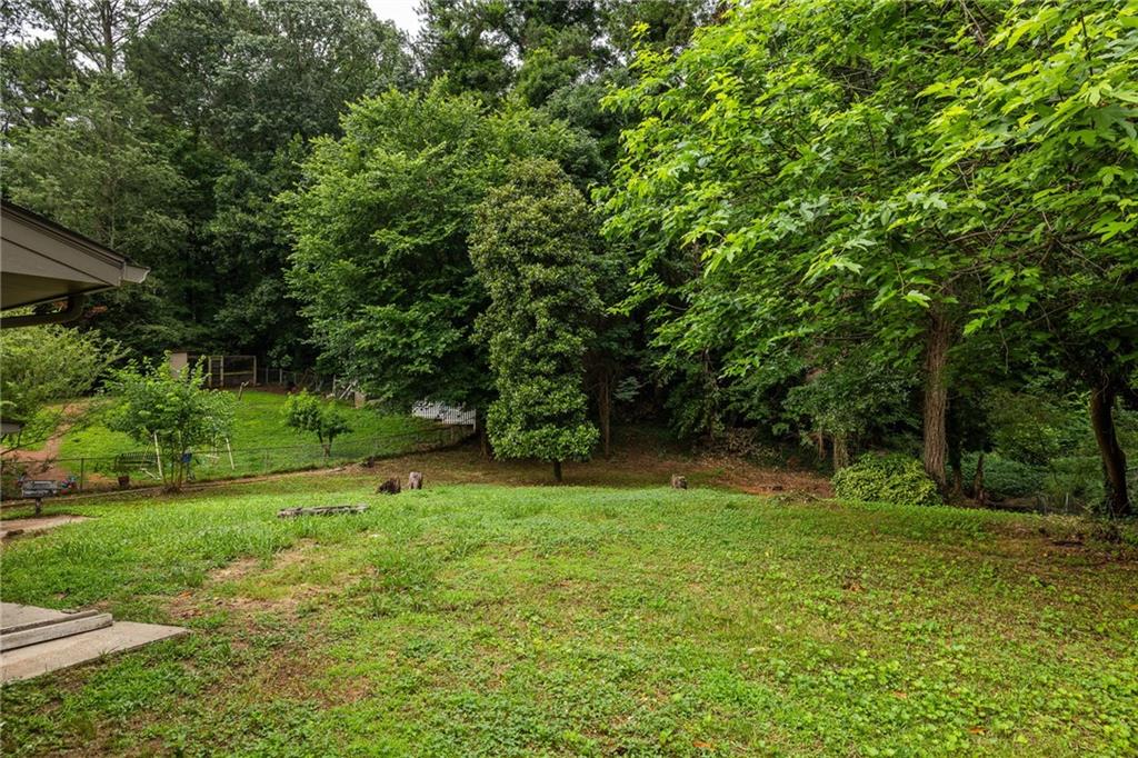 Grassy backyard bordered by dense trees and shrubs, with part of the house visible at left.