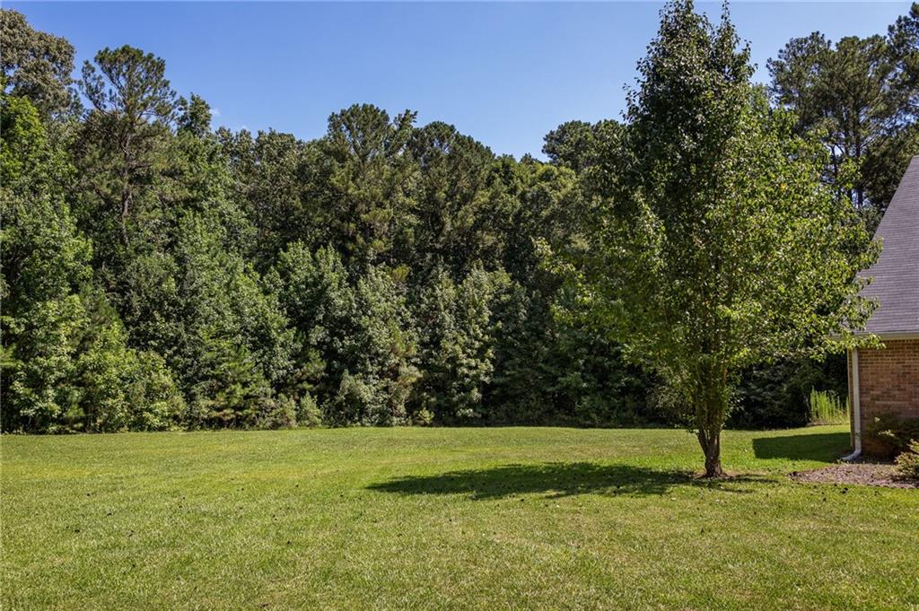 Backyard lawn bordered by mature trees, with an ornamental tree and part of a brick house.