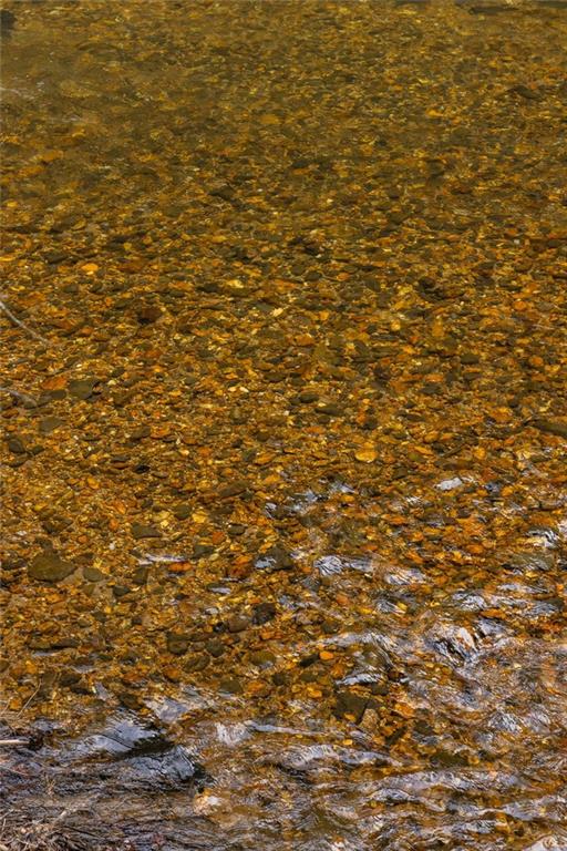 Shallow creek flowing over a bed of golden-brown stones.