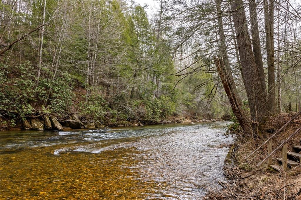 A shallow river flows through wooded banks beside a set of steps.