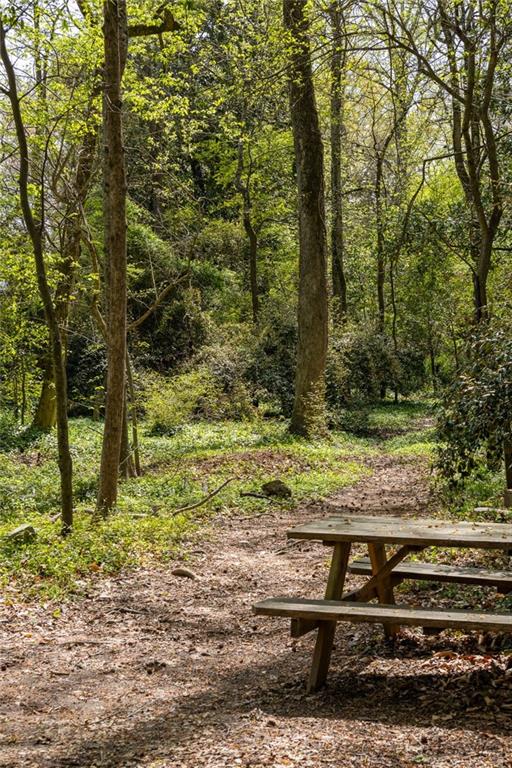 Wooded yard with a dirt path and a picnic table among leafy trees.