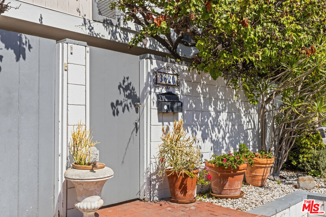 3620 Pacific Ave Unit: 2