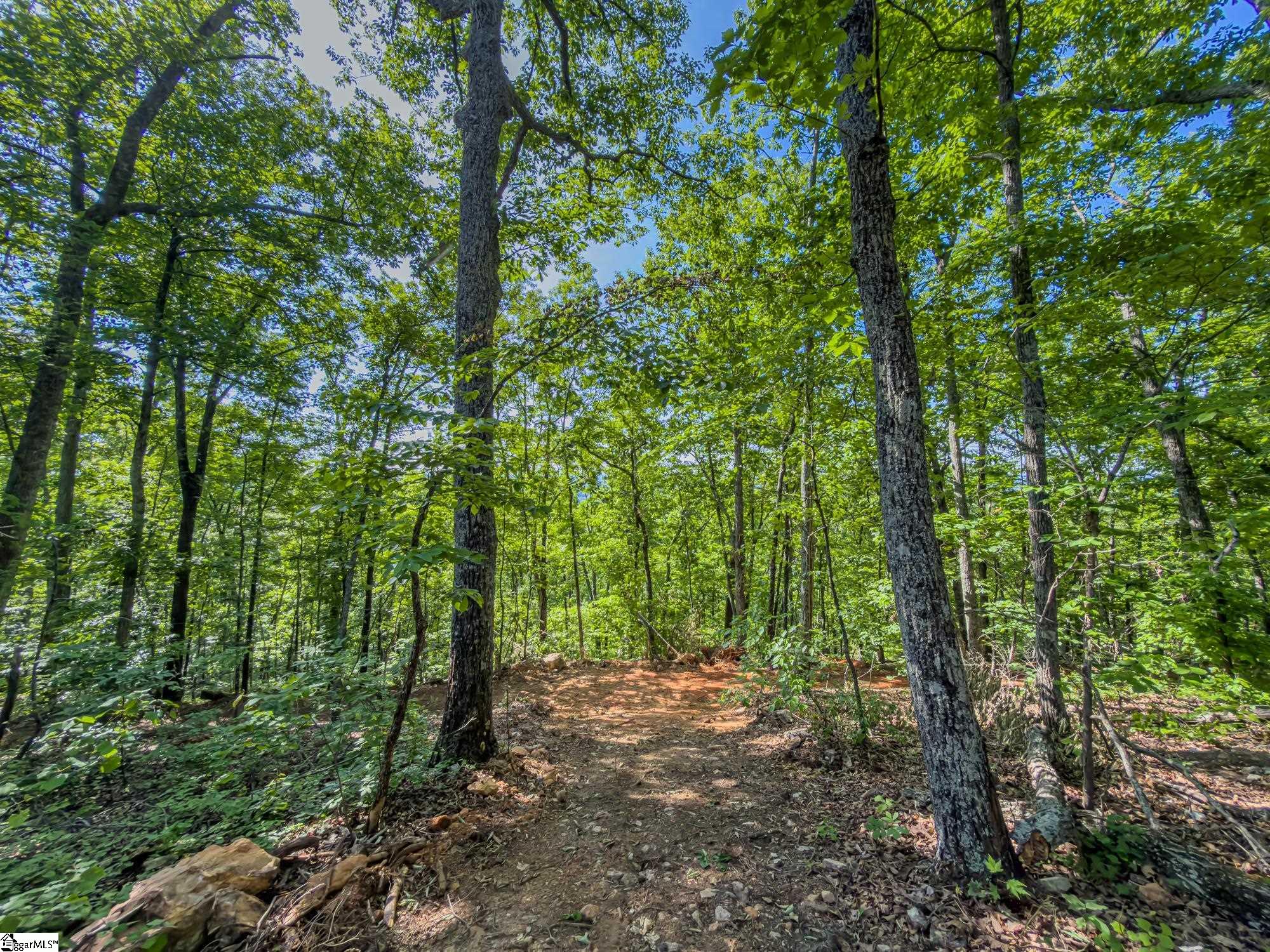 611 Packs Mountain Ridge Road