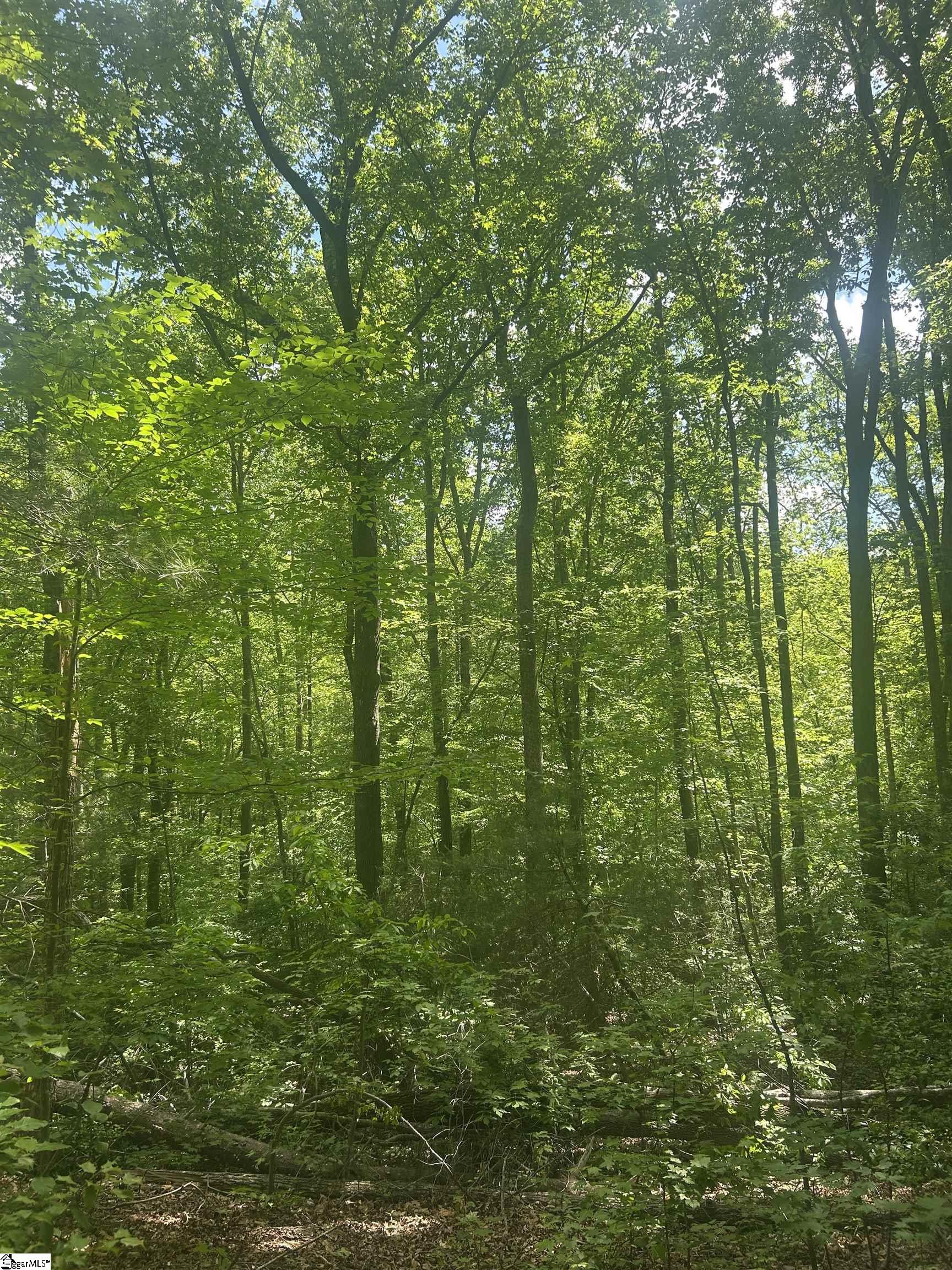 00 Allen Road
