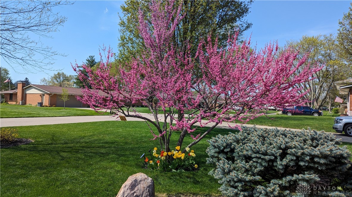 2056 Regent Park Drive