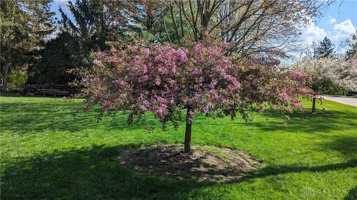 2056 Regent Park Drive