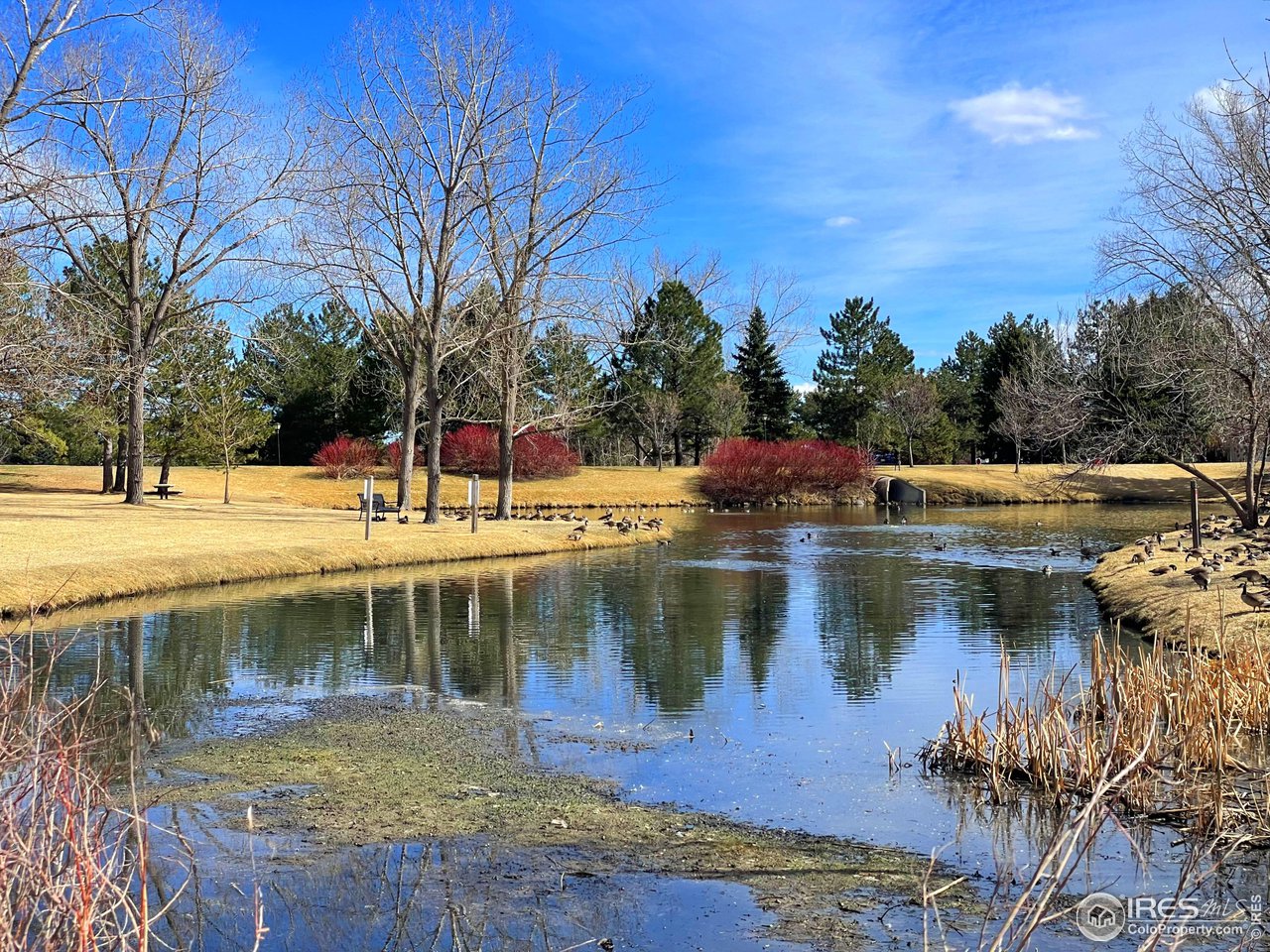 10895 W Half Moon Pass