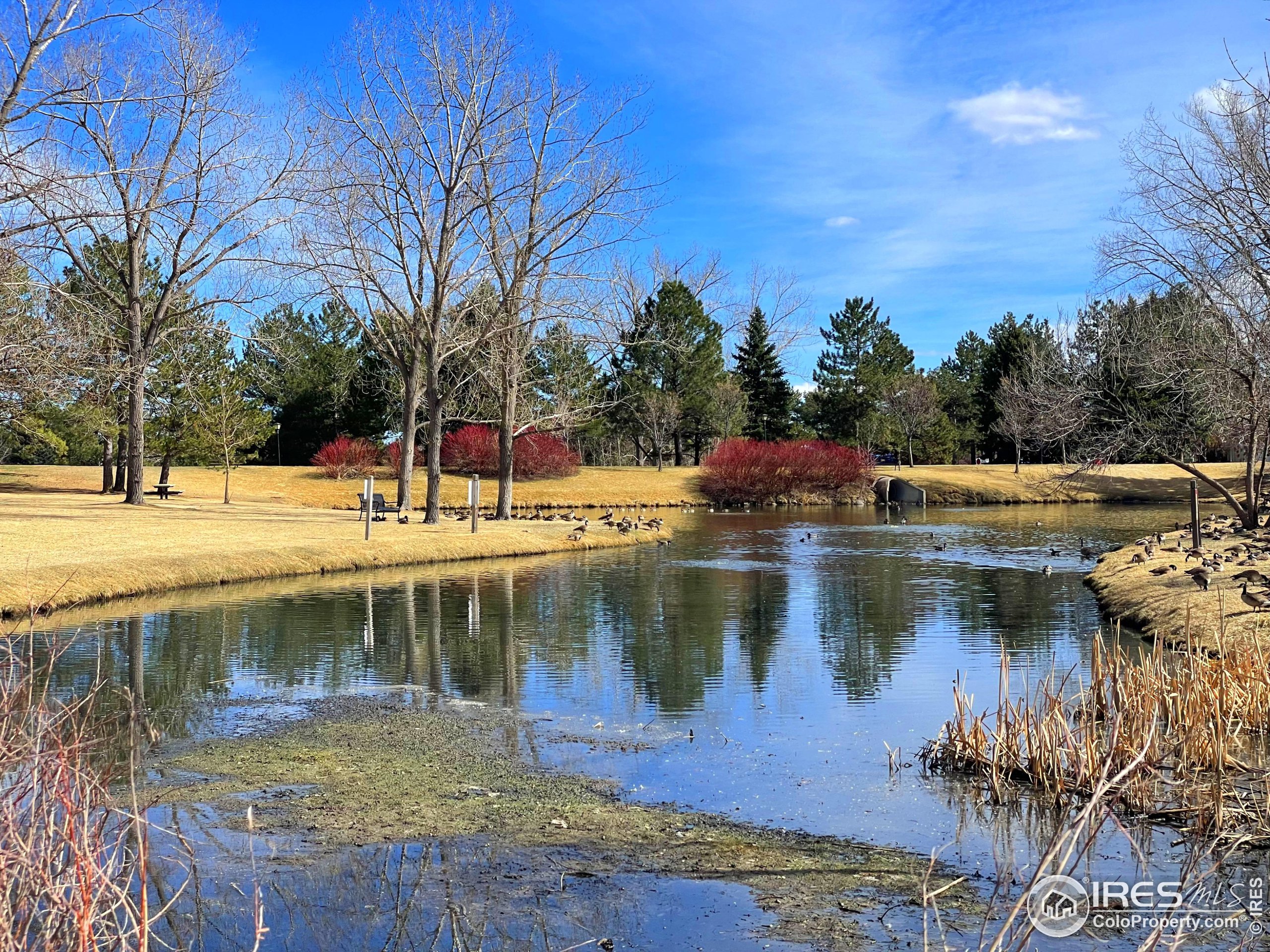 10895 W Half Moon Pass