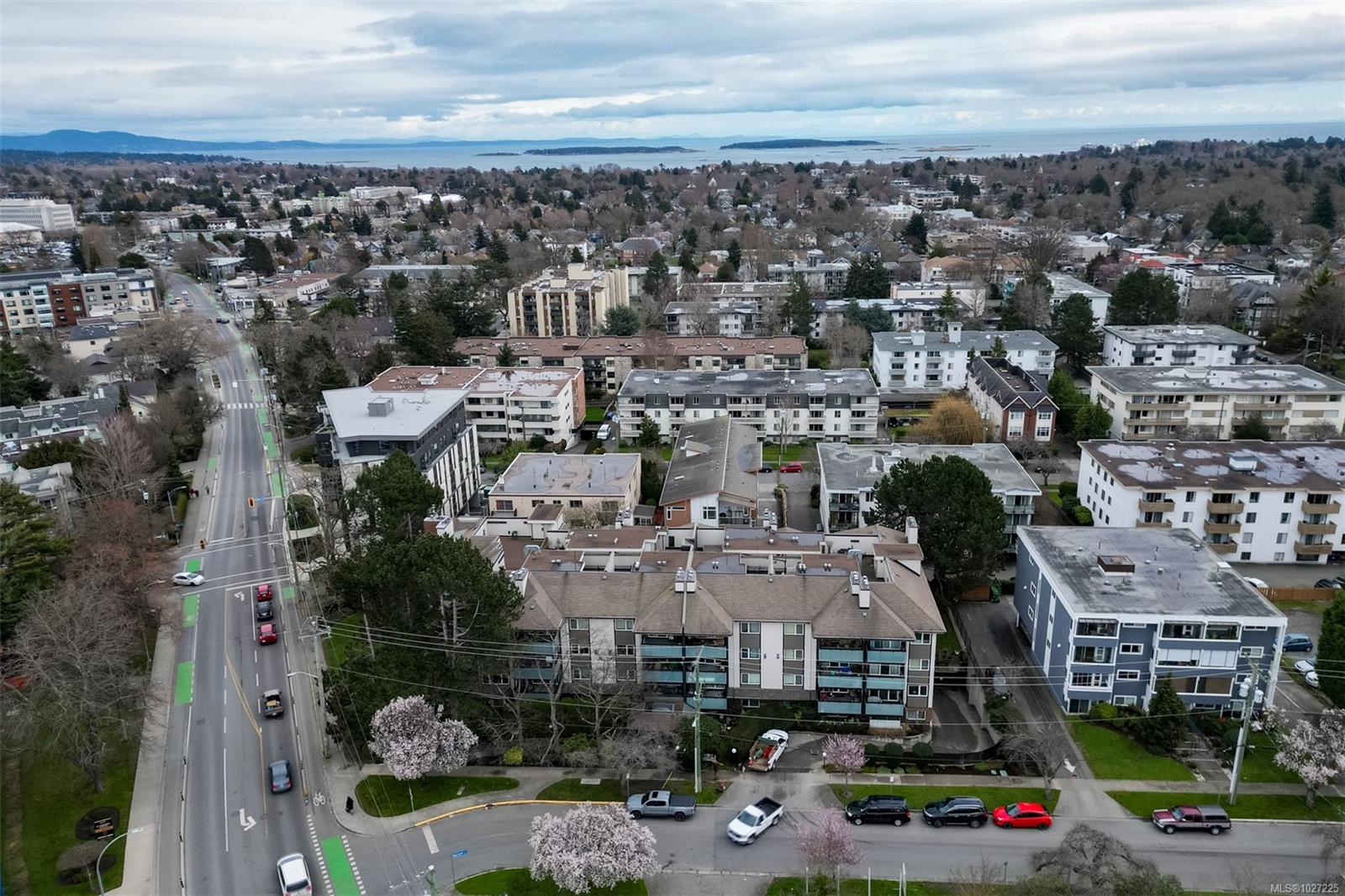 1619 Morrison St # 201