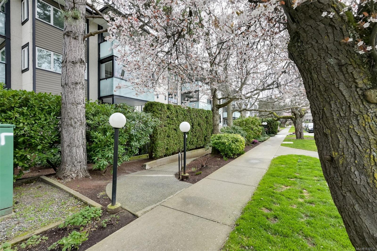 1619 Morrison St # 201