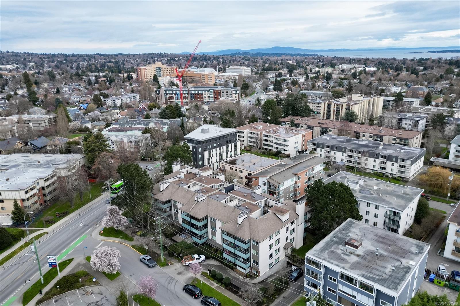 1619 Morrison St # 201