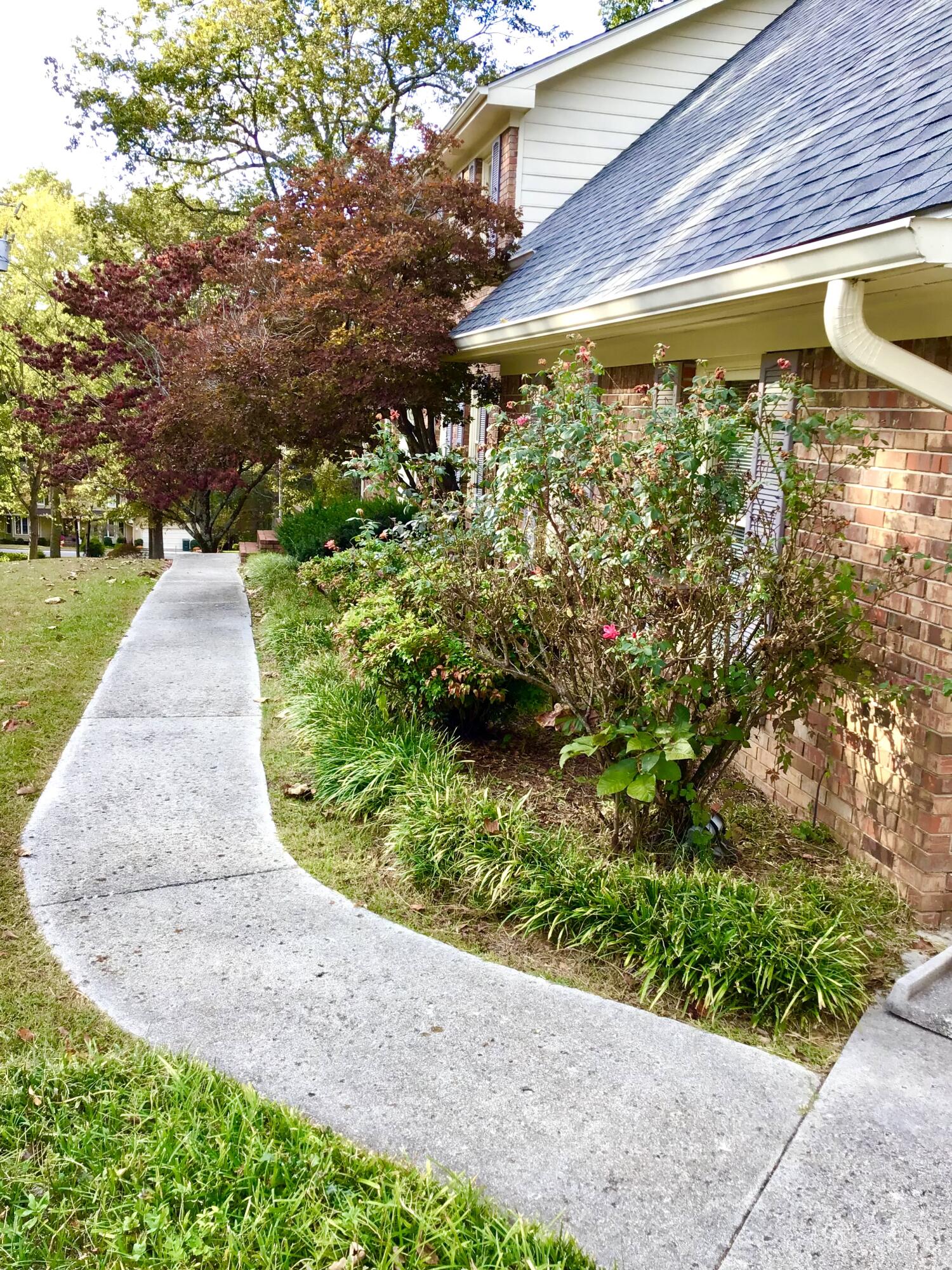 6424 Lake Shadows Circle