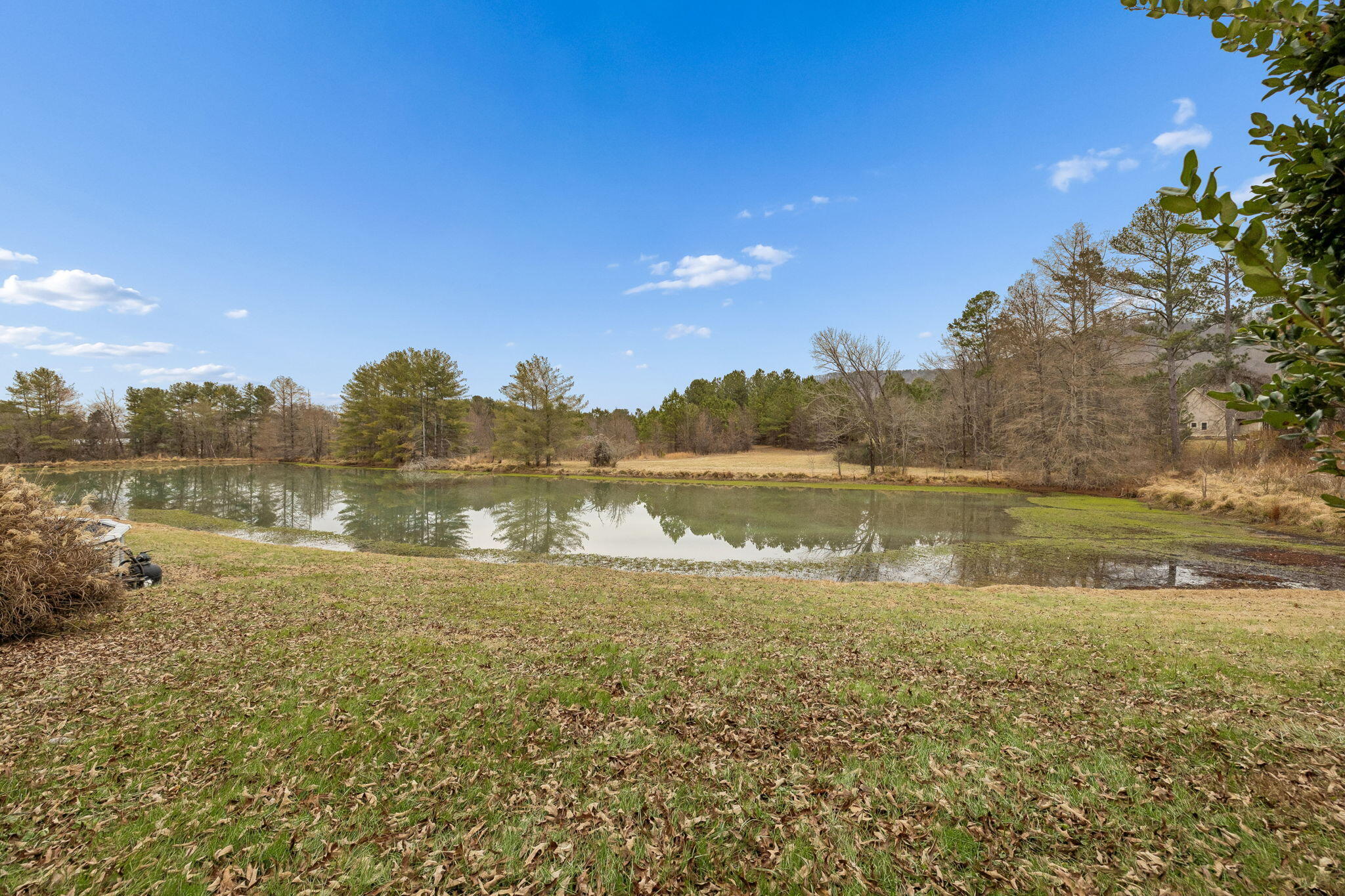 12466 Alabama Highway