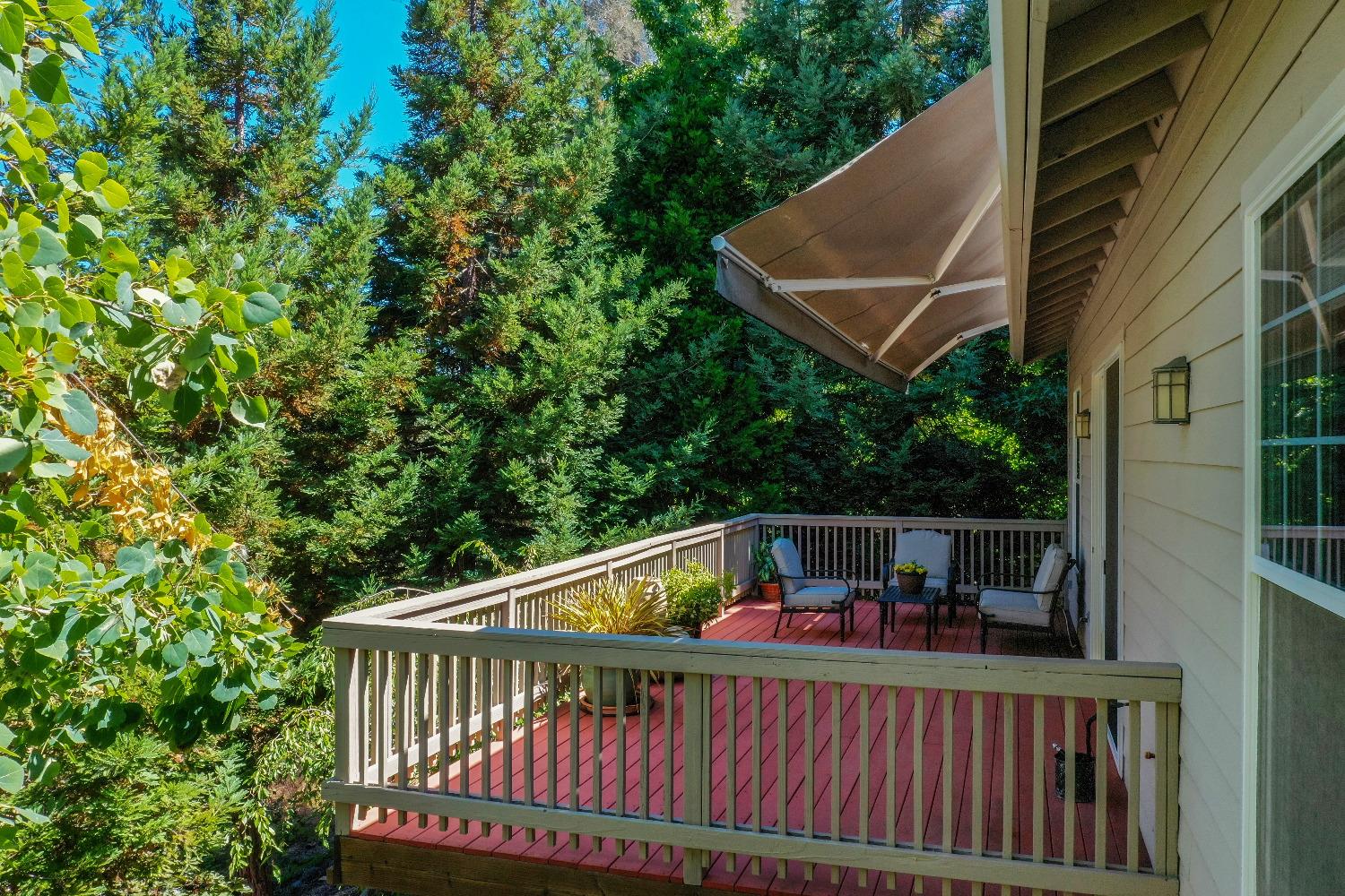 260 Forest Meadows Drive