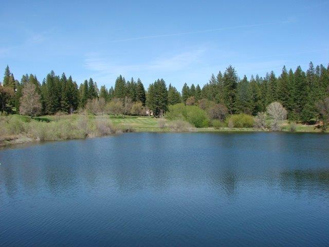 260 Forest Meadows Drive